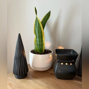 Matte Black Scentsy Warmer